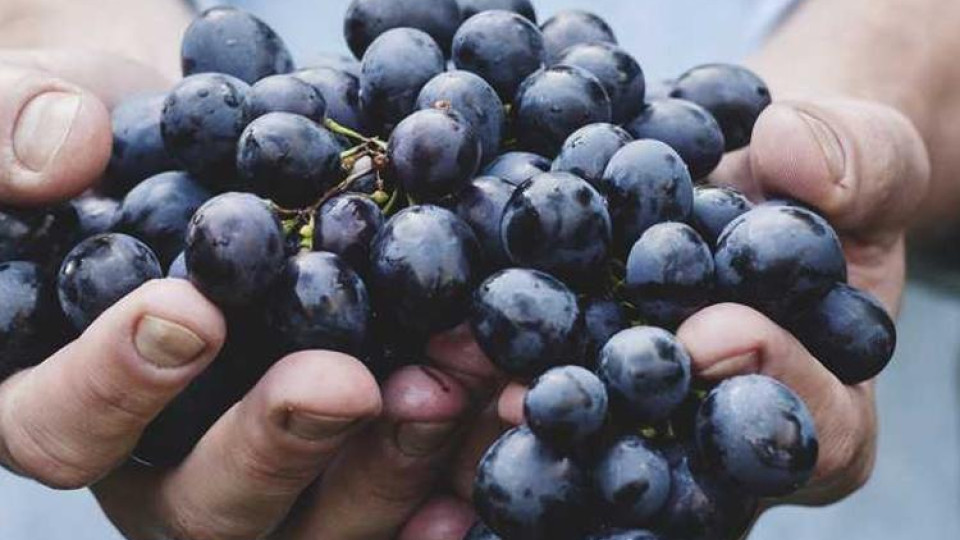 Lorem ipsum dolor sit amet, consectetur adipisicing elit 1