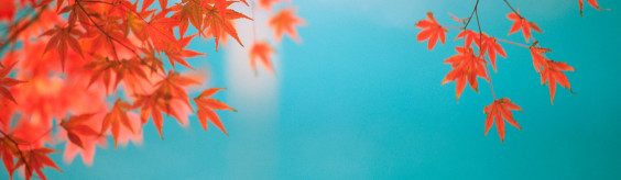 Lorem ipsum dolor sit amet, consectetur adipisicing elit 3