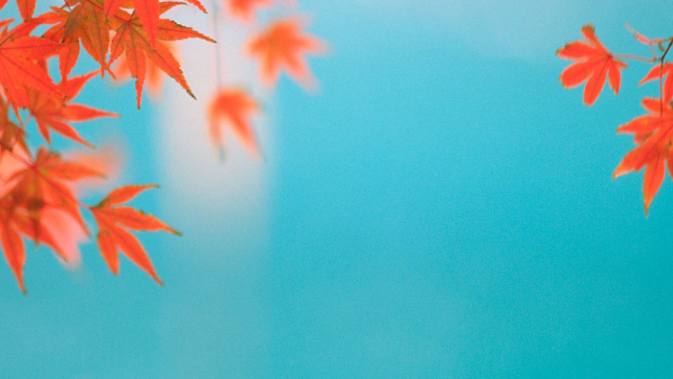 Lorem ipsum dolor sit amet, consectetur adipisicing elit 1