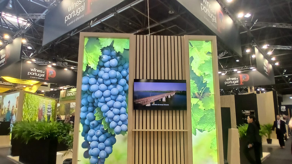 WINES OF PORTUGAL PROWEIN 2025